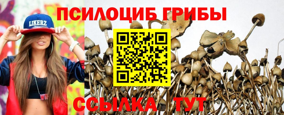 Псилоцибиновые грибы Cubensis  Вход с VPN  Псилоцибиновые грибы MAGIC MUSHROOMS  Партизанск 